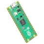 رزبری پای پیکو Raspberry Pi Pico 2 با ورودی Micro USB