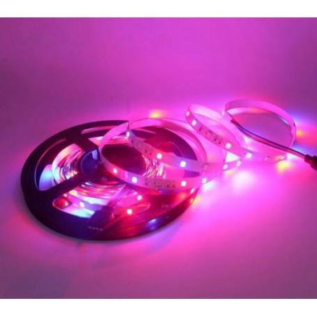 LED نواری RGB درشت 5050 بدون ژله 60PCS رول 5متری