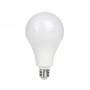 لامپ SMD حبابی 20 وات سفید مهتابی مارک EDC