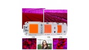 LED COB رشد گیاه 50W 220V سایز 5850 دارای مدار حفاظتی Anti Surge