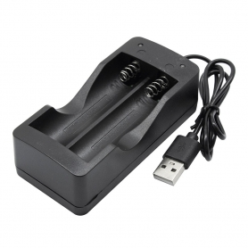 شارژر باتری لیتیوم-یون دوتایی با ورودی USB